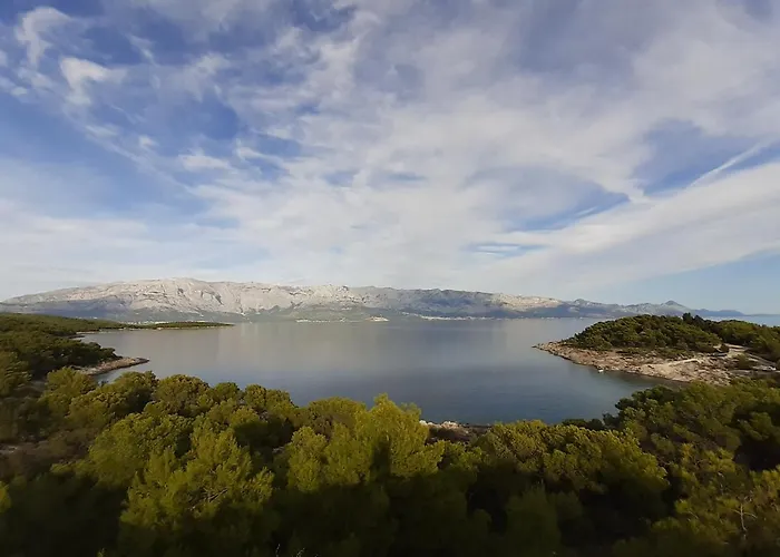 Serventic * Sumartin